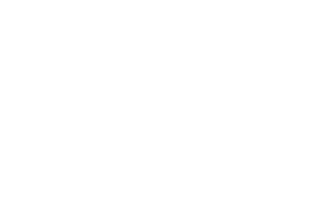 Ristorante 433 | Roma Piazza Navona Governo Vecchio